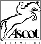 Bezoek de website van Ascot